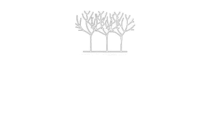 Birchwood Country Condo logo white